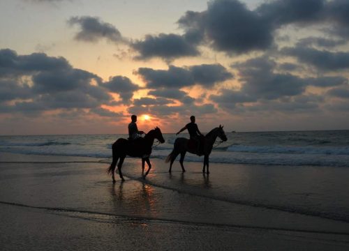 Pferde Ausritt in der Wüste& am Meer