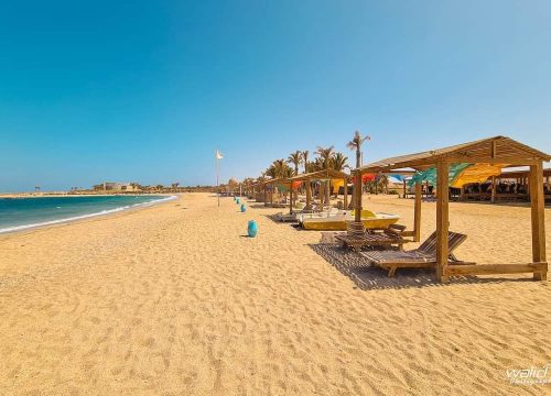 Abu Dabbab Schildkröten Schnorchel Ausflug Schwimmen