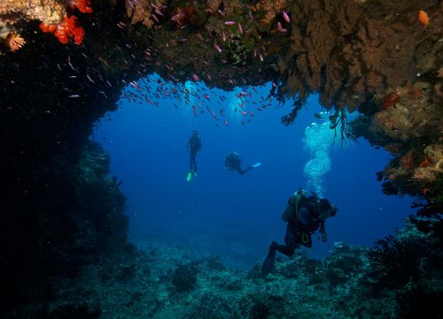 PADI Open water Tauchkurs für Anfänger