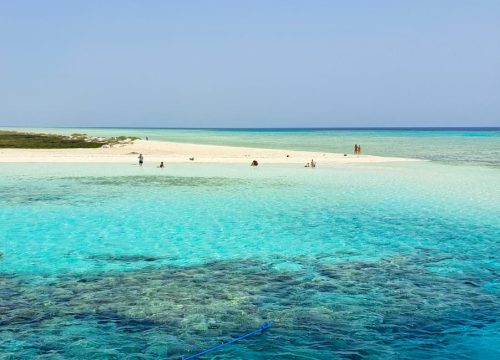 Coral Garden Schnorchelausflug Marsa Alam